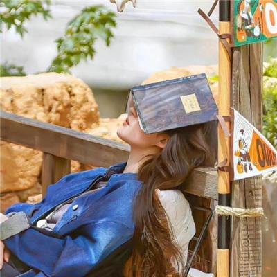 生活的城市在线观看